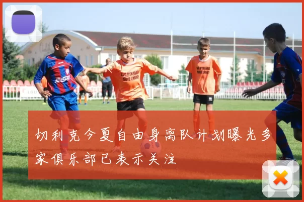 切利克今夏自由身离队计划曝光多家俱乐部已表示关注